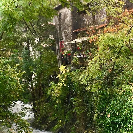 Grande Maison Cevenole Authentique Valleraugue Kültér fotó