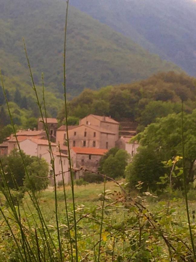Grande Maison Cevenole Authentique Valleraugue Kültér fotó