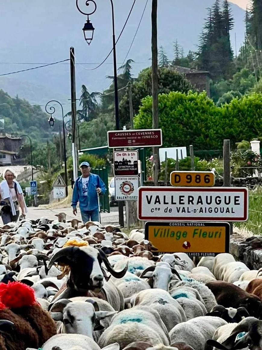 Grande Maison Cevenole Authentique Valleraugue Kültér fotó